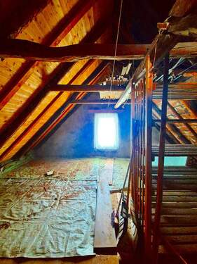 20250911_120358.jpg - 