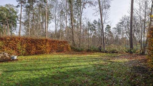 Blick in den Garten - 