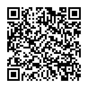 QR-Code - 