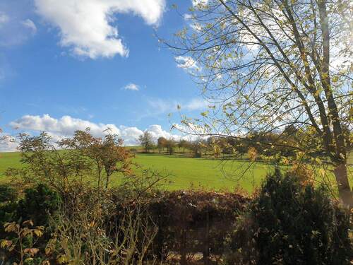 Natur vor der Haustüre - 