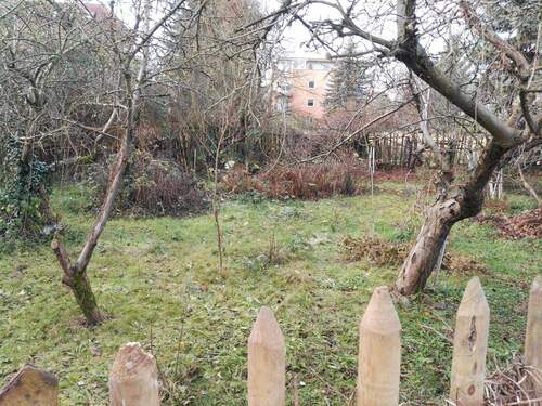 Garten mit alten Obstbäumen - Sofort verfügbar, ruhige Lage, Nähe Altstadt