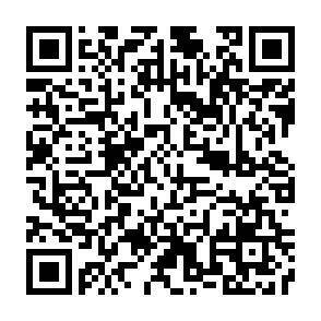 QR-Code - 