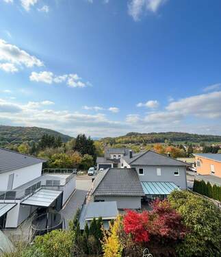 Blick aus dem Wintergarten - 