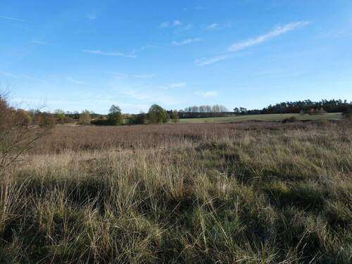 Blick Richtung Dorf - 