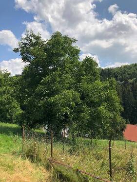 Bild 10 - 