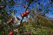 Bild 11 - 