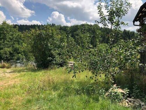 Bild 12 - 