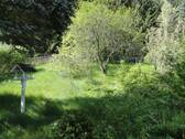 Blick in den Garten - 