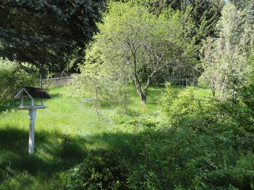 Blick in den Garten - 