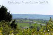 Blick ins Grüne - 