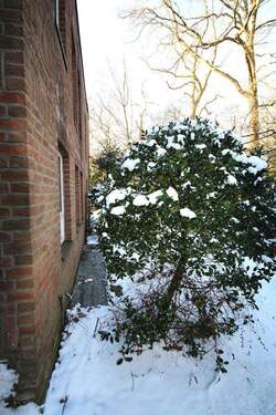 Nordseite - 3 Zimmer Etagenwohnung zum Kaufen in Hamburg