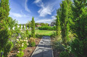 Blick in den Garten - 