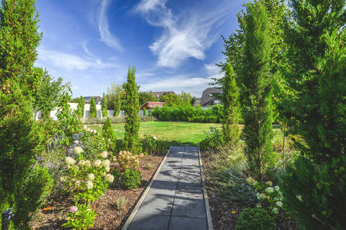 Blick in den Garten - 