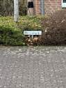 Bild 6 - 