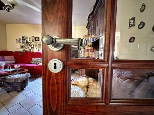 Zimmertür mit Glas - 