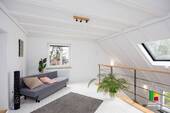 Empore DG - 