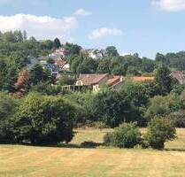 Grundstück, ca. 9.877 m² in Felsberg, wenige km von Saarlouis, interessante Projektentwicklung bzw. Sanierung des Bestands