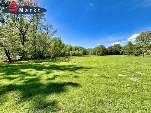 Grundstücksfläche - 