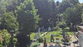 Blick in den Garten - 