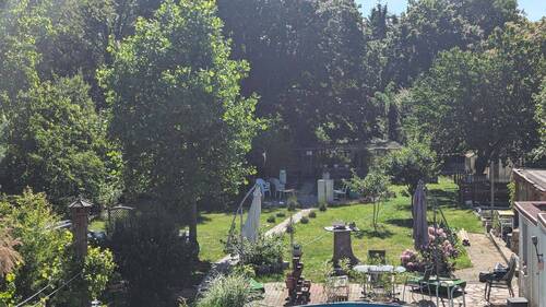 Blick in den Garten - 