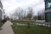 DSC00629 - 