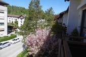 P1010139 - 