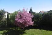 P1010143 - 