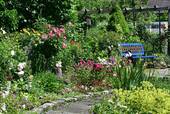Garten - 