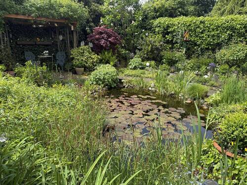 Garten - 