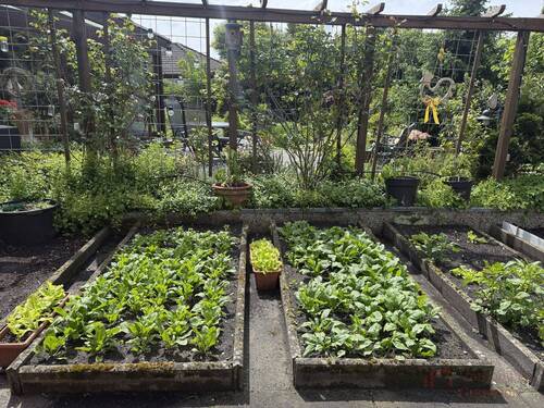 Garten - 