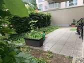 Garten Eigene - 