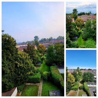Blick aus dem Fenster, Grundstück - 