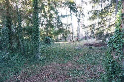 Gartengrundstück - 