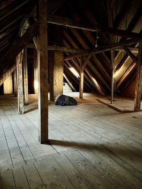 Rohbau_Dachboden_3 - 3 Zimmer Etagenwohnung zum Kaufen in Fürth