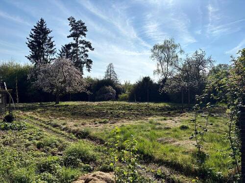 WhatsApp Bild 2025-04-19 um 17.15.31_015b14e3.jpg - Traumgrundstück im Grünen! Mit positven Bauvorbescheid!