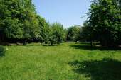Wiese - 