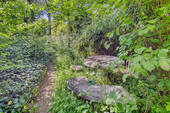 Bild9 - 
