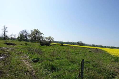 Grünland und Ackerfläche - 