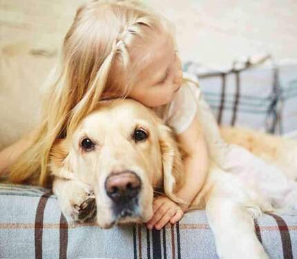 massa LifeStyle 18.07 - 6 Zimmer Einfamilienhaus in Elsdorf