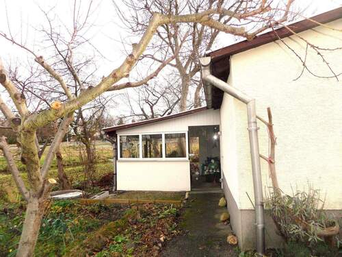 Gartenausschnitt II - 