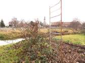 Gartenausschnitt IV - 