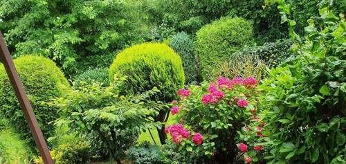 Blühender Garten, Grünoase - 