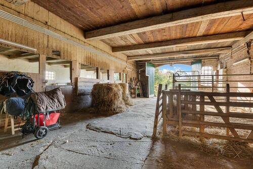 Stall - 