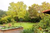 Garten hinter dem Haus - 