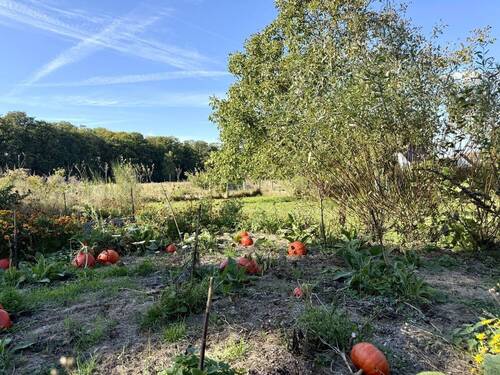 Grundstück - Grundstück in Osnabrück zum Kaufen