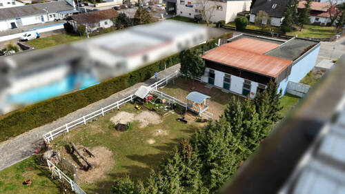 Pferdestall mit Freifläche - 