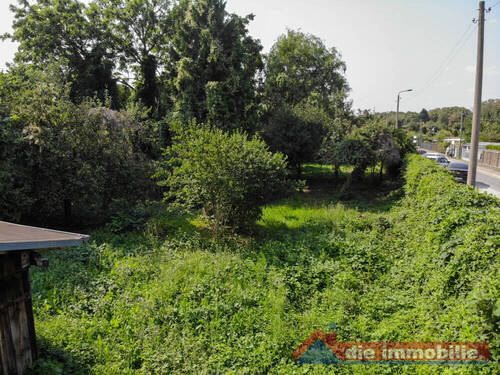 Bestehender Obstbaumbestand – sofortige grüne Wohlfühl-Oase - 