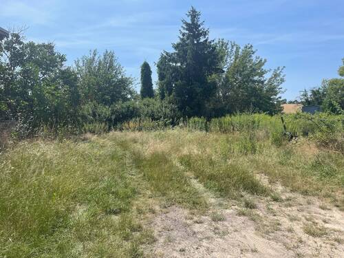 Straße vor dem Grundstück.jpg - Baugrundstück in ruhiger Lage von Neuenhagen