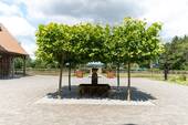 Brunnen im Hof - 