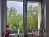 Blick aus Fenster 3 OG - 